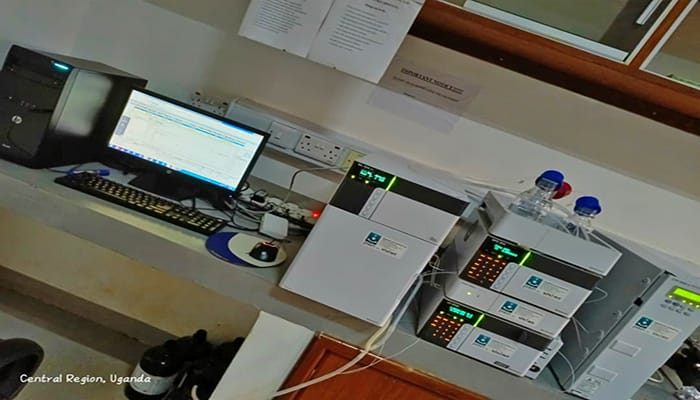 WhatsApp Image 2025-09-13 at 12.40.42